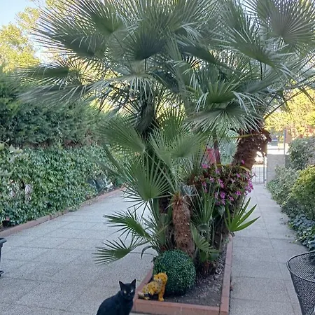 Frühstückspension La Mimosa Porto Garibaldi