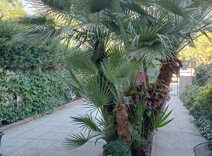 לינה וארוחת בוקר La Mimosa פורטו גריבלדי